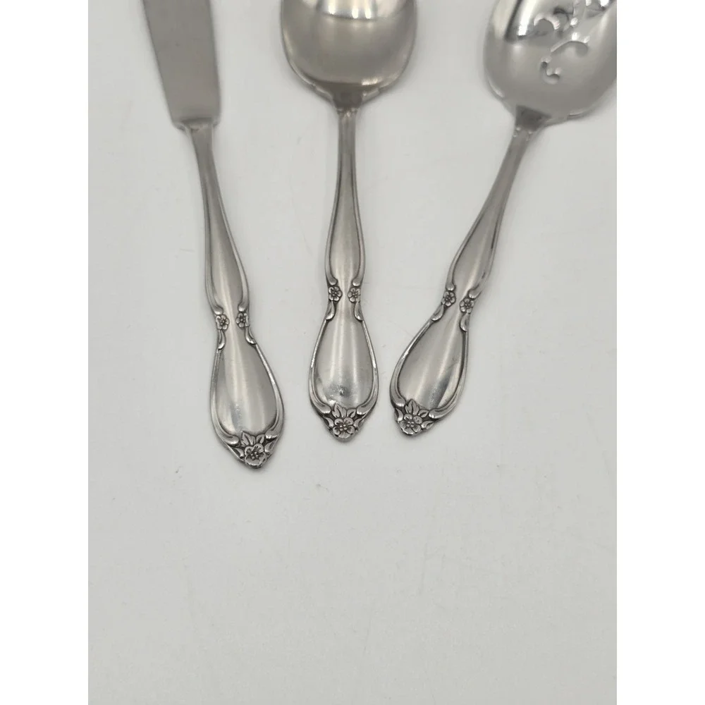 Oneida community stainless